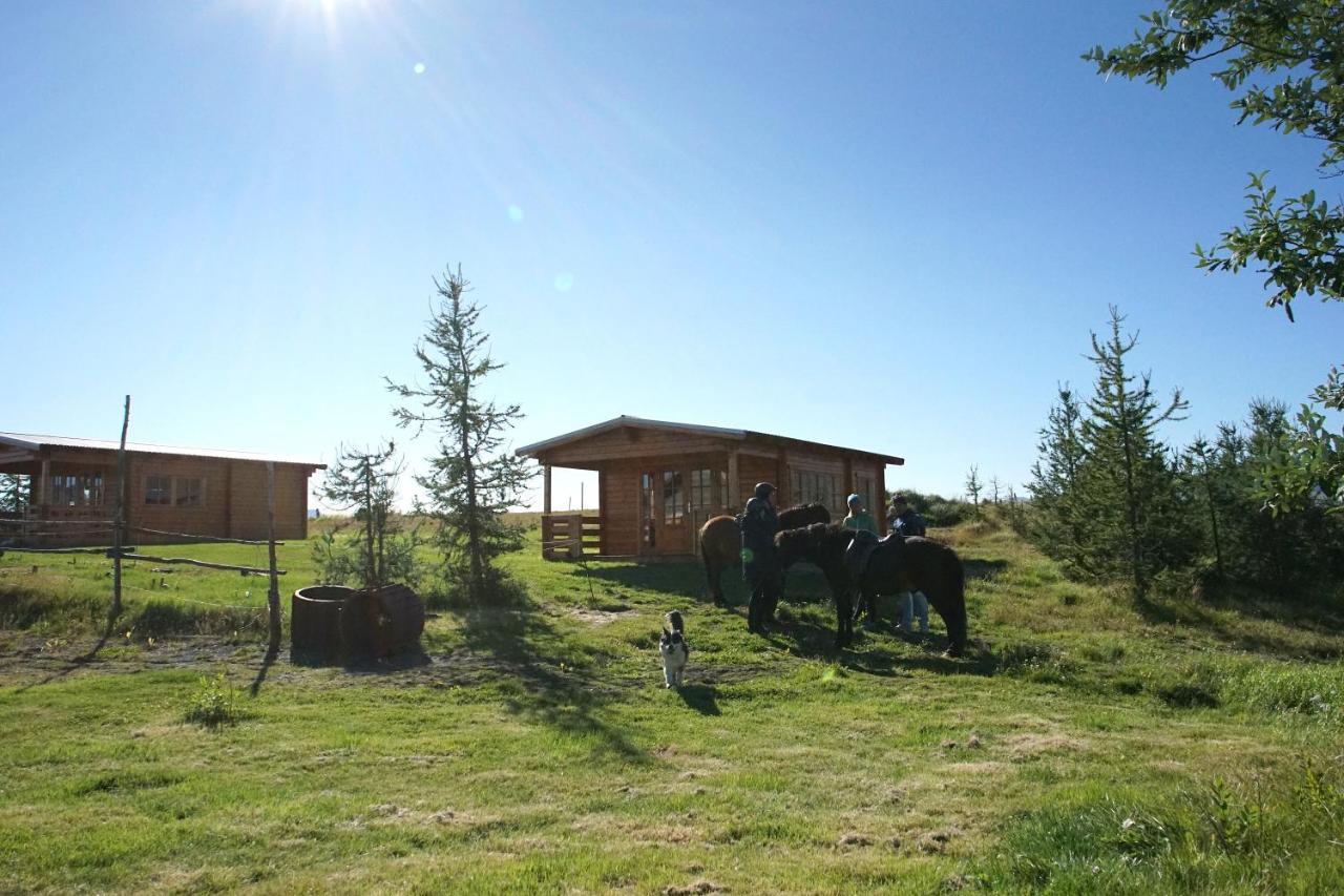 Armuli Villa Reynistadur Bagian luar foto